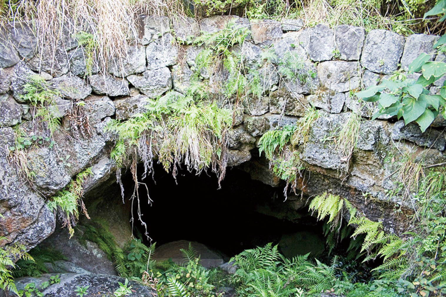 溶岩トンネル 大根島