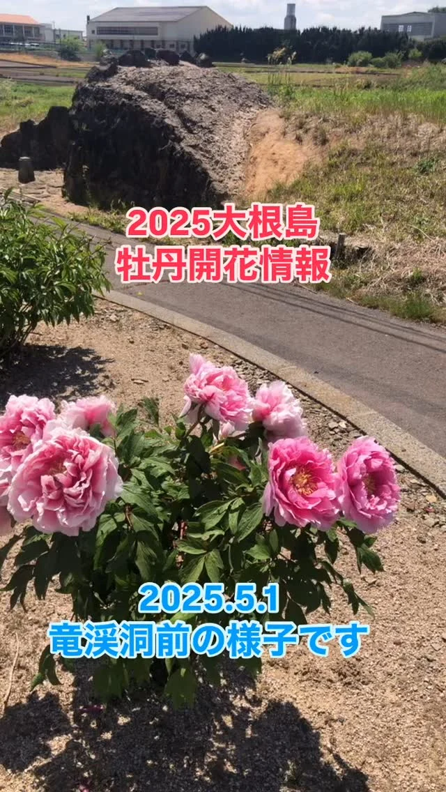 Instagram 投稿 18251744770304368