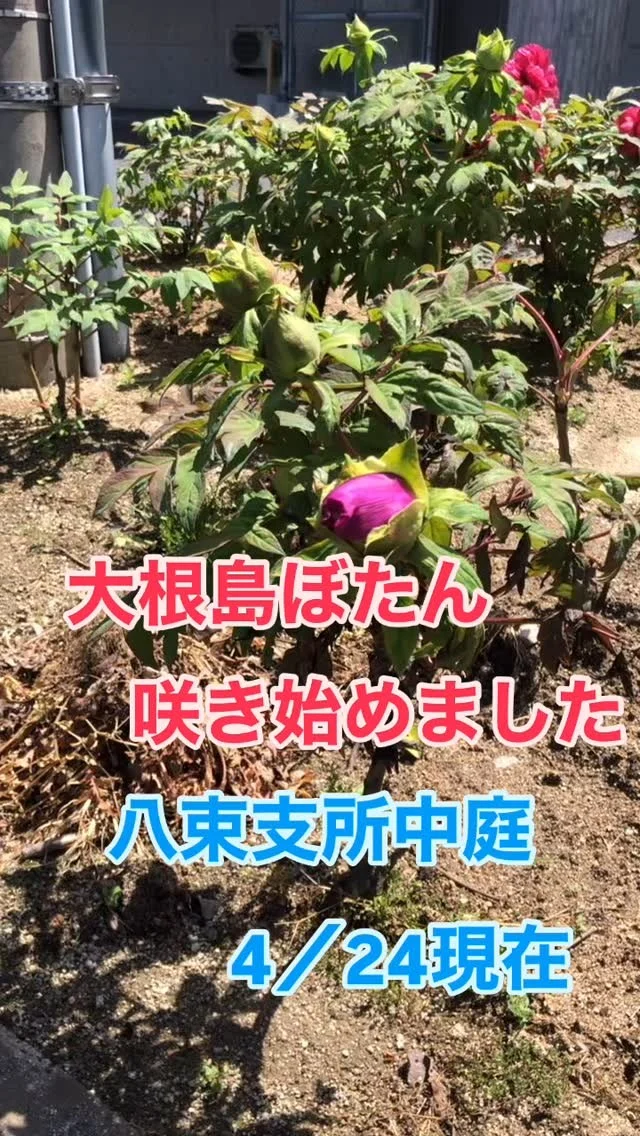 Instagram 投稿 18370008106123807