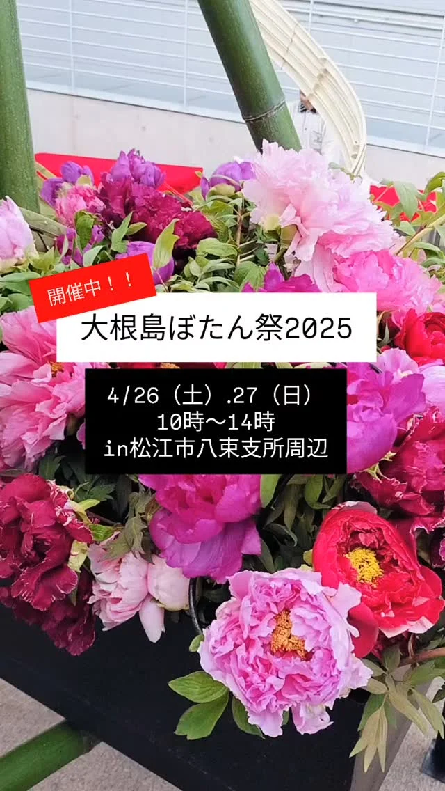 ＼ぼたん祭2025 開催中〜！！／

＊場所＊　松江市八束支所中庭
　　　　　松江市八束町波入2060
＊日にち＊　2025.4.26（土）.27（日）
＊時　間＊　10:00〜14:00

屋台も牡丹企画も満載！！
ふわふわドームもあるよ〜
ぜひ、お越し下さい＊

#大根島　#松江市　#ぼたん祭2025
#松江華道連盟　#彩雲堂 #松江市八束町