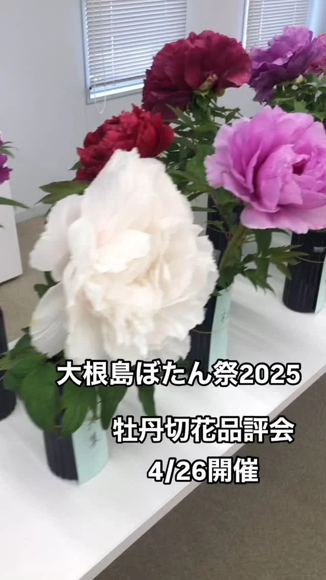 Instagram 投稿 18401391985109349