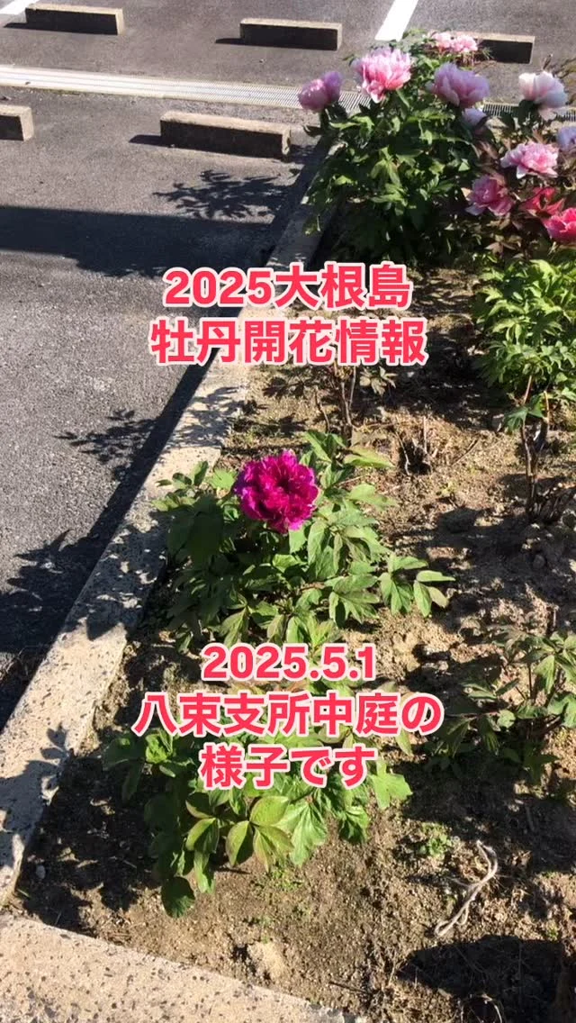Instagram 投稿 17846035113466795